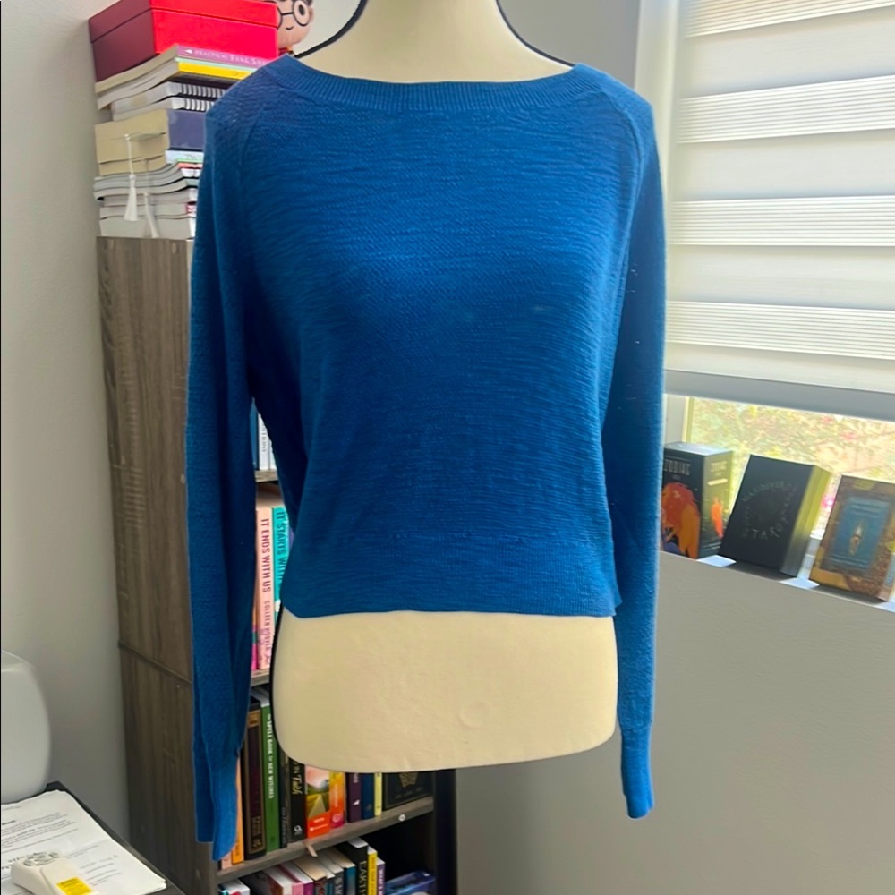 Mossimo Supply Co. Blue Crew Neck Sweater